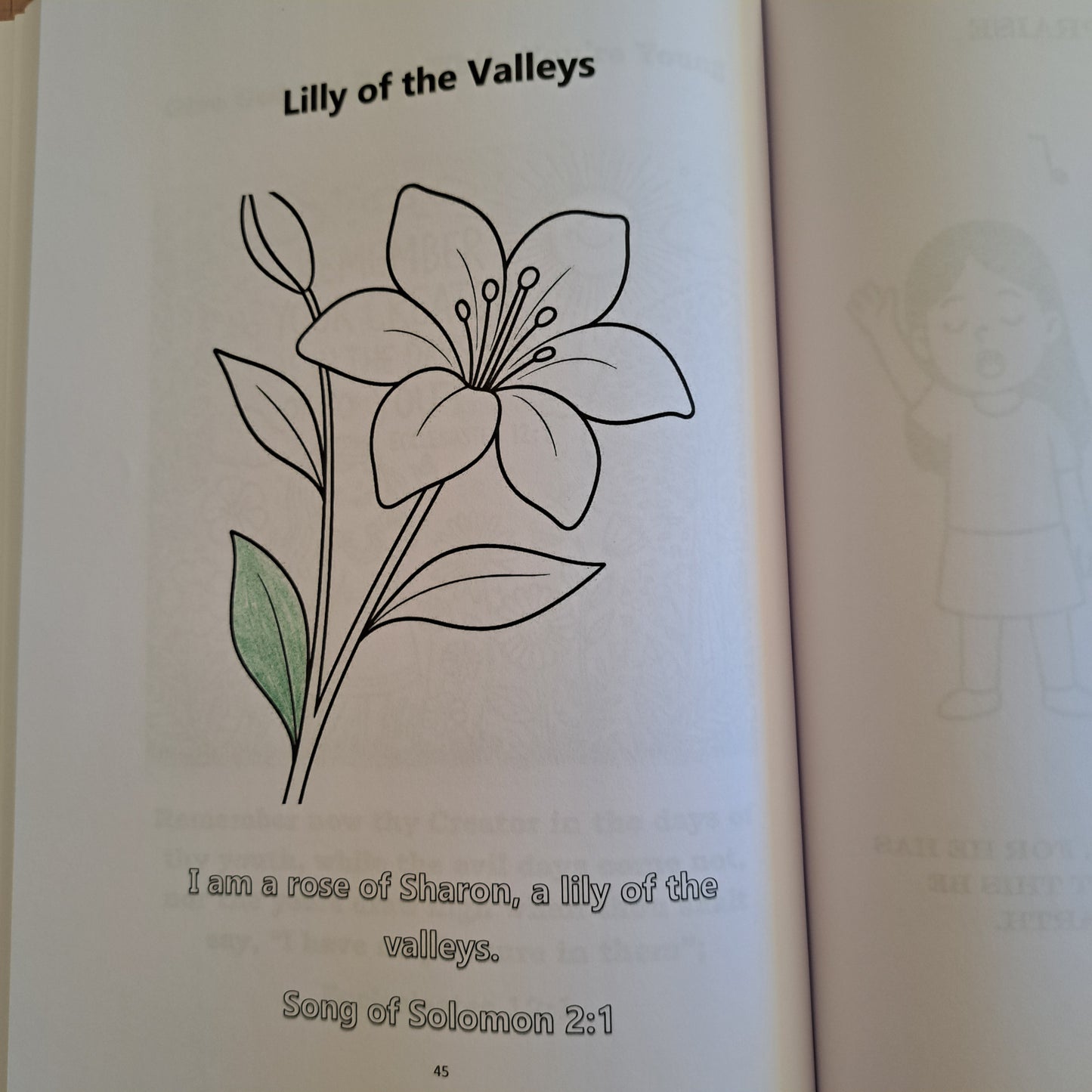 The Old Testament Colouring Book (A4) – 39 Illustrated Bible Verses for Kids & Adults - Journey with Jazzy
